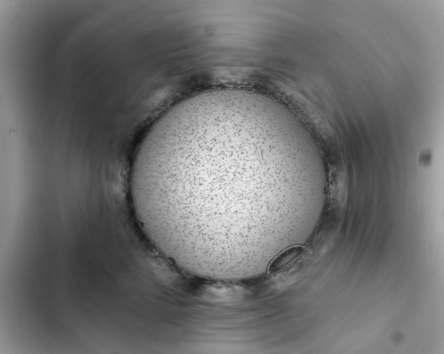 X0000102360712200808151813