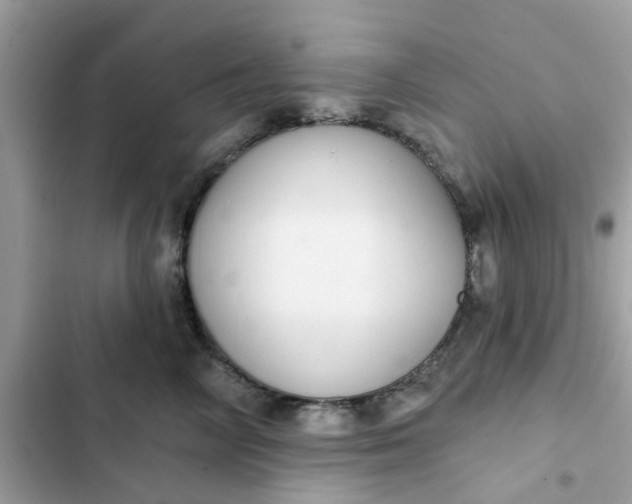 X0000102360714200808151813