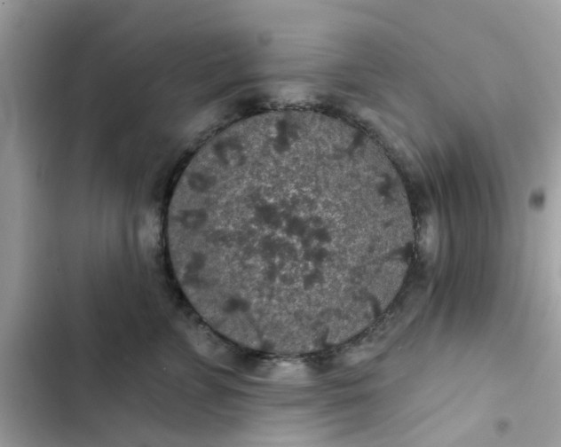 X0000102360715200808151813