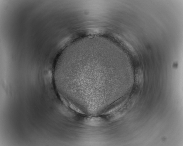 X0000102360716200808151813