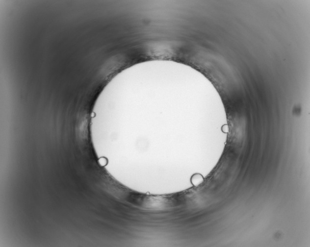 X0000102360717200808151813