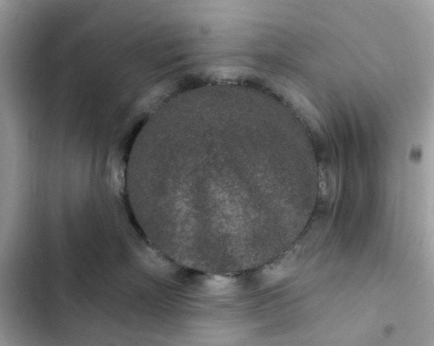 X0000102360718200808151813