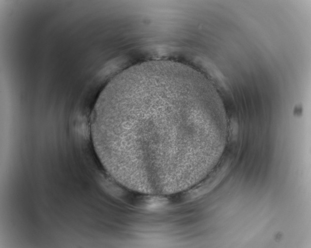 X0000102360719200808151813