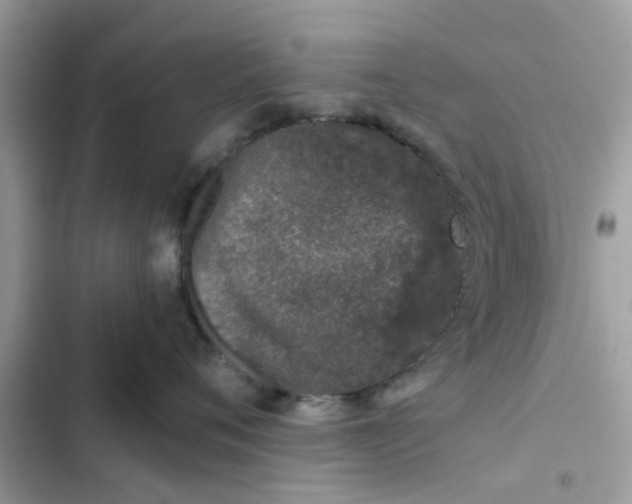 X0000102360720200808151813