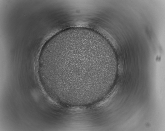 X0000102360721200808151812