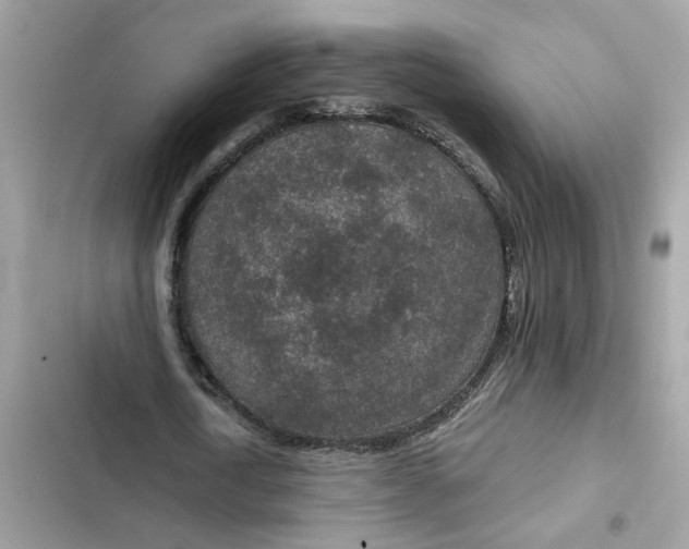 X0000102360722200808151812