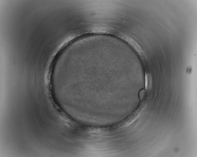 X0000102360723200808151812