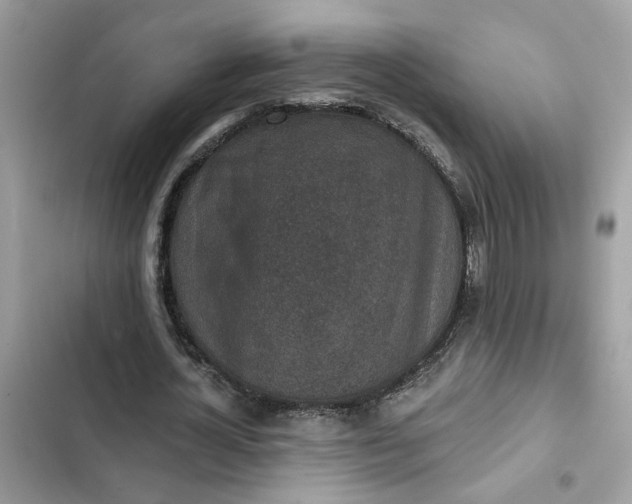 X0000102360724200808151812