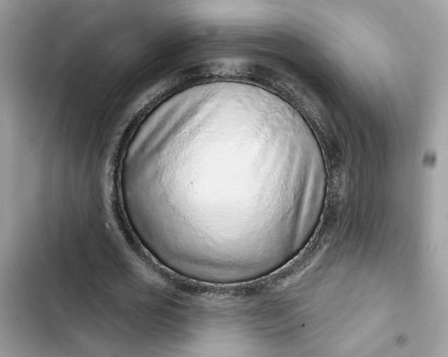 X0000102360725200808151812