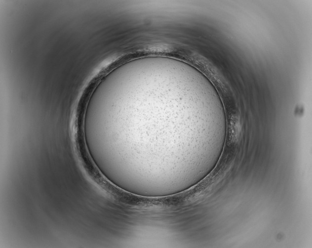 X0000102360726200808151812