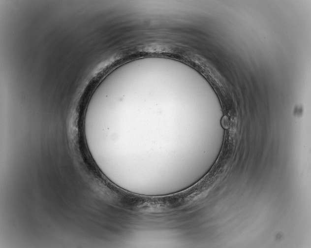 X0000102360727200808151812