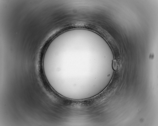 X0000102360728200808151812