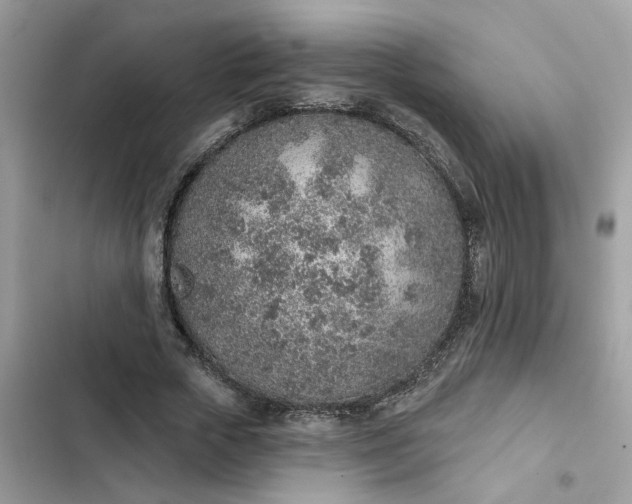 X0000102360729200808151812