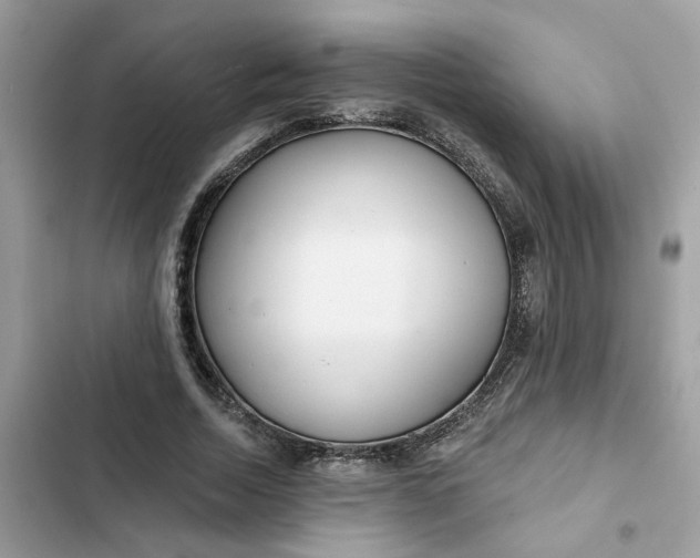 X0000102360730200808151812