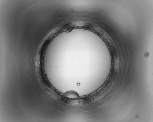 X0000102360731200808151812