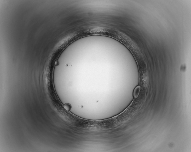 X0000102360732200808151812