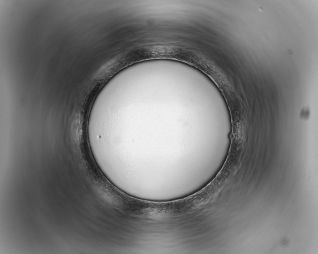 X0000102360733200808151812