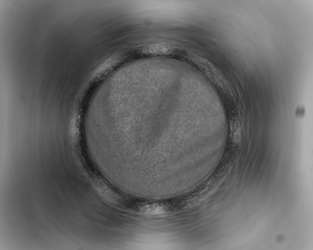 X0000102360735200808151812