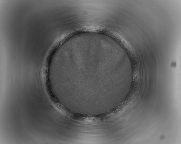 X0000102360736200808151812