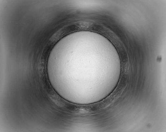 X0000102360737200808151812