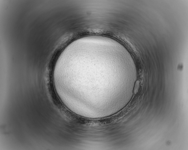 X0000102360738200808151812