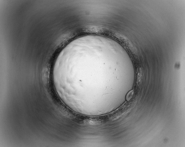 X0000102360739200808151812