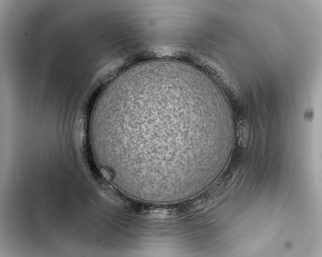 X0000102360740200808151812