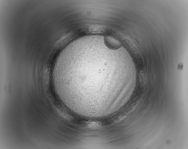 X0000102360741200808151812