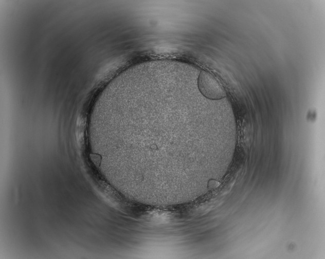 X0000102360742200808151812