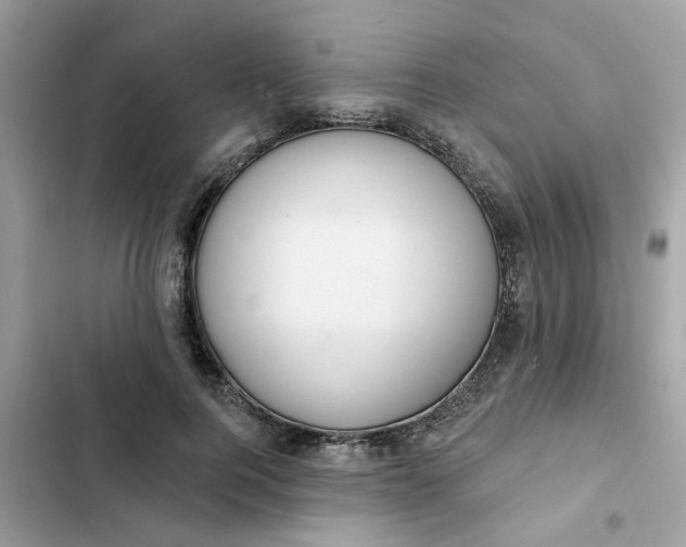 X0000102360744200808151812