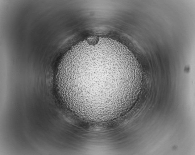 X0000102360745200808151812