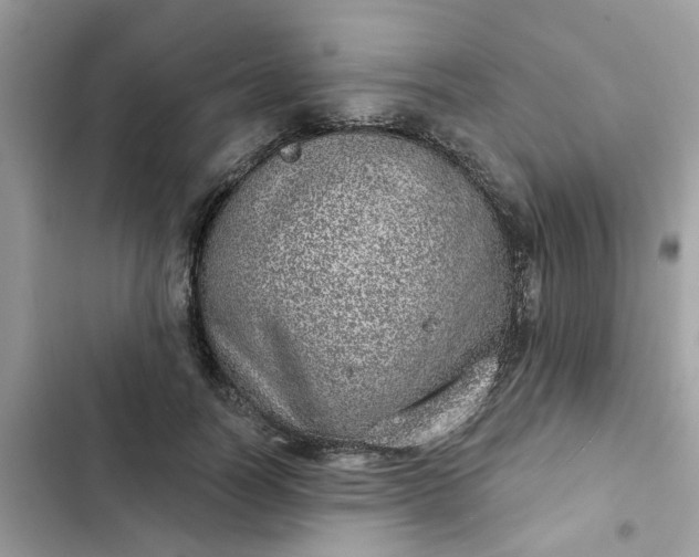 X0000102360746200808151812