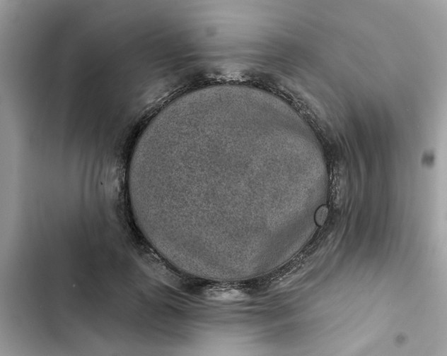 X0000102360747200808151812