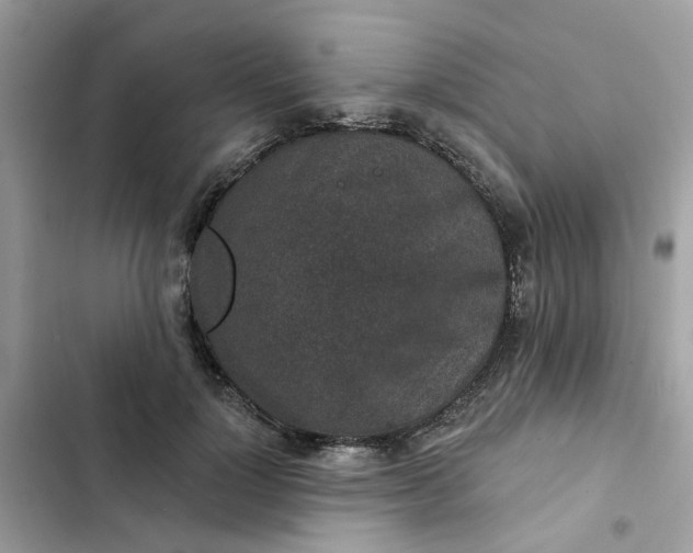 X0000102360748200808151812