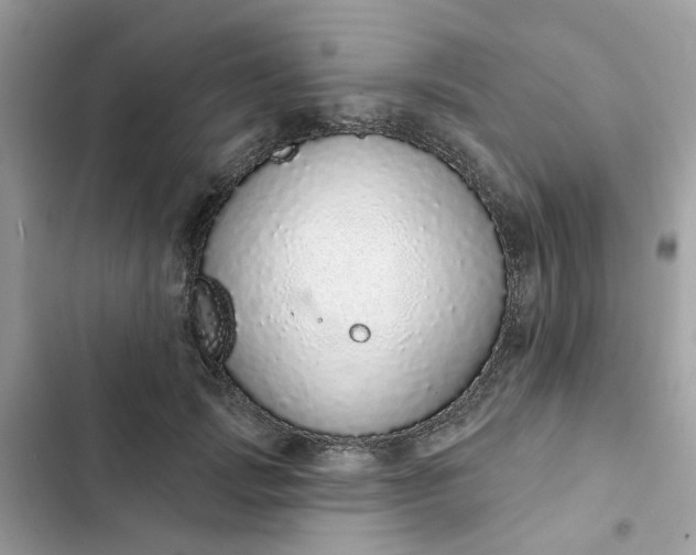 X0000102360749200808151812