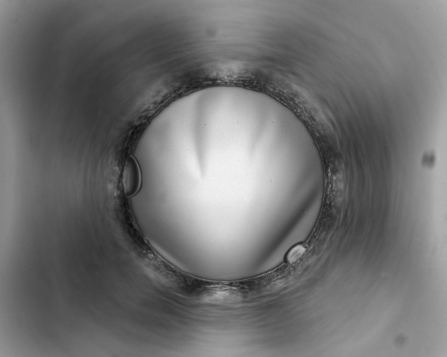 X0000102360750200808151812