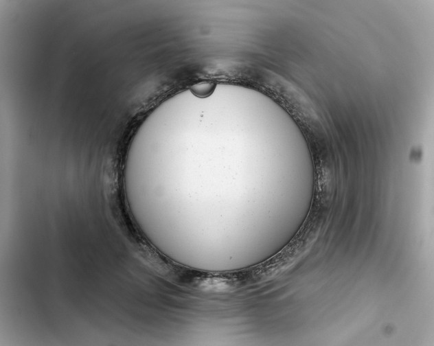 X0000102360751200808151812