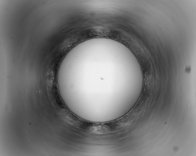 X0000102360752200808151812