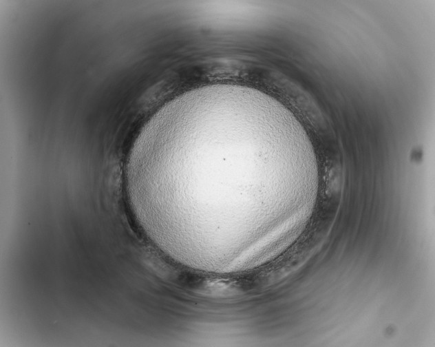 X0000102360753200808151812