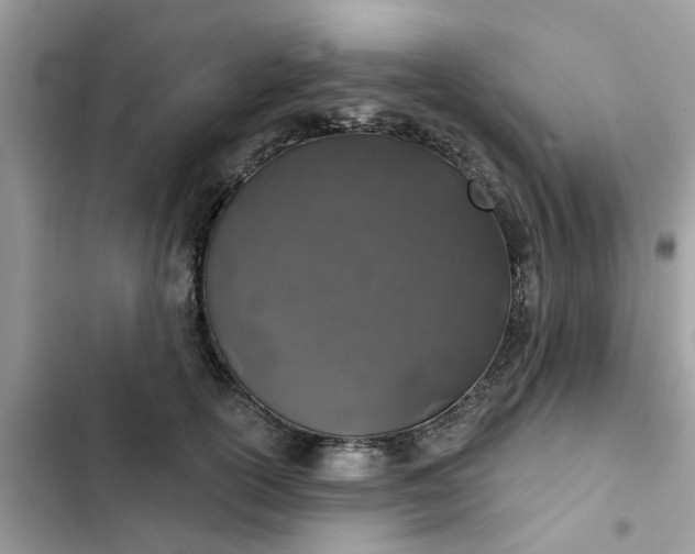 X0000102360754200808151812