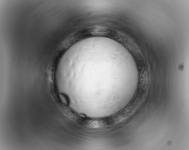 X0000102360755200808151813