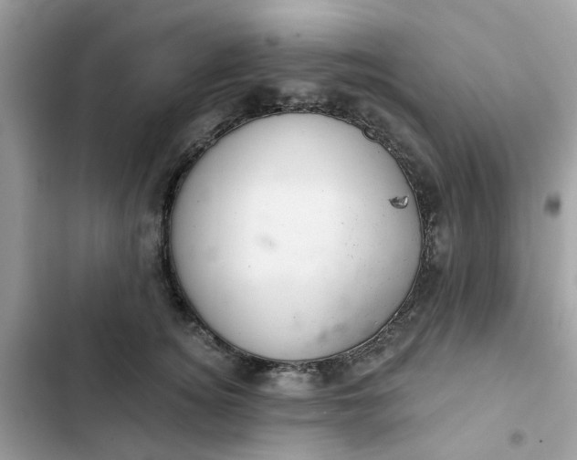 X0000102360756200808151813