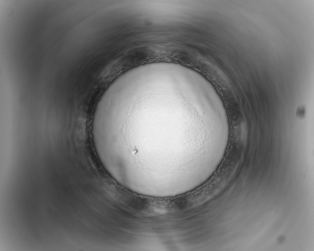 X0000102360757200808151813