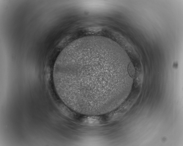 X0000102360758200808151813