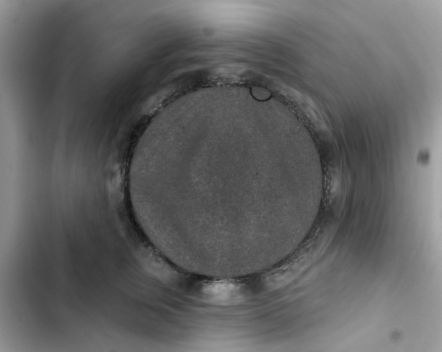 X0000102360759200808151813