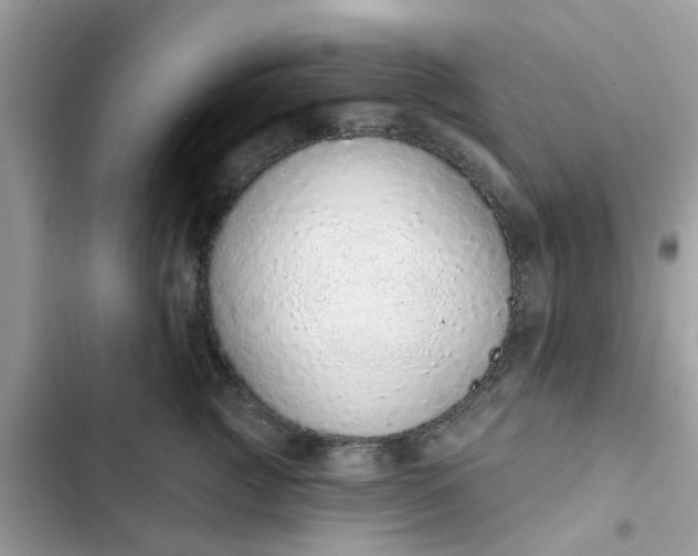 X0000102360761200808151813