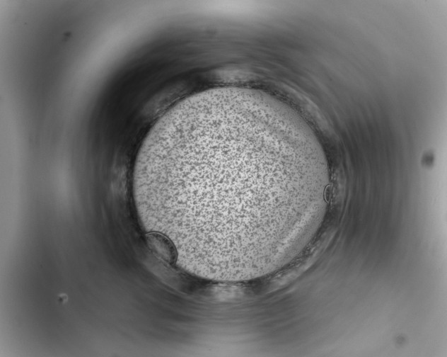 X0000102360762200808151813