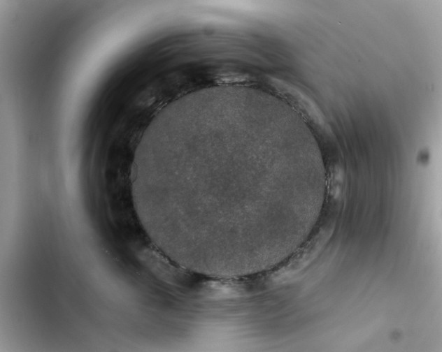 X0000102360763200808151813