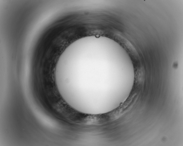 X0000102360764200808151813