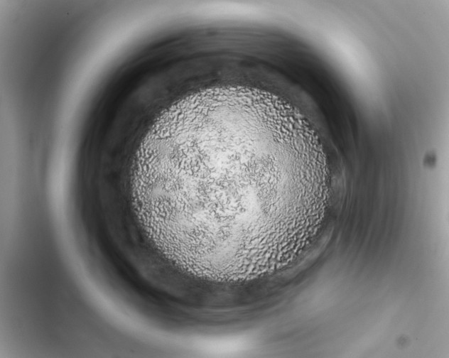 X0000102360765200808151813